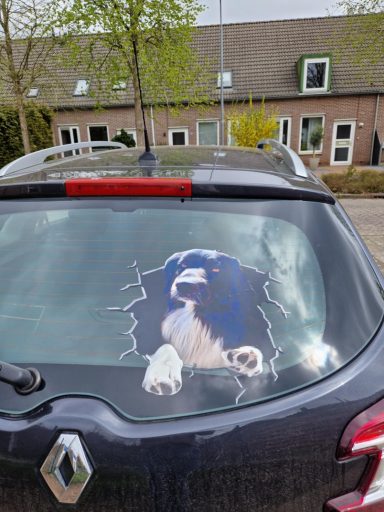 Een afbeelding van een hond die door een gebroken autoruit kijkt.